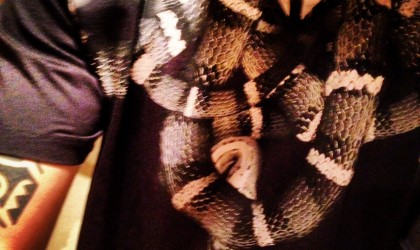 Marcelo Burlon Snake T-Shirt