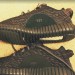 How to spot a fake Yeezy Boost 350